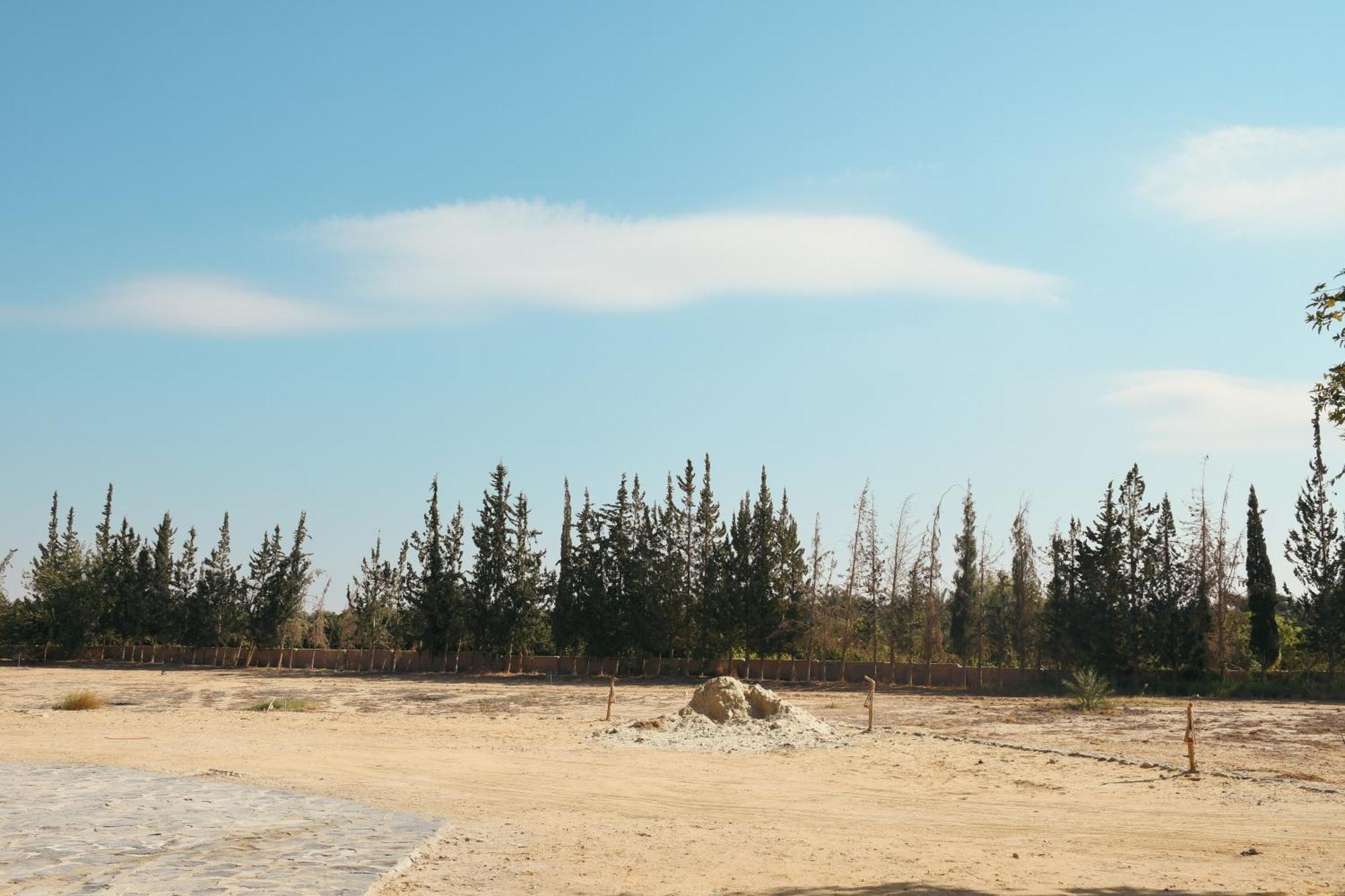 Vila Tzila Bahariya Bahariya Oasis Exteriér fotografie